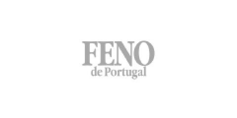 FENO DE PORTUGAL