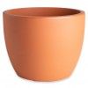 Terracota