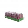 Esfrego Sayma Sabo Pack 6