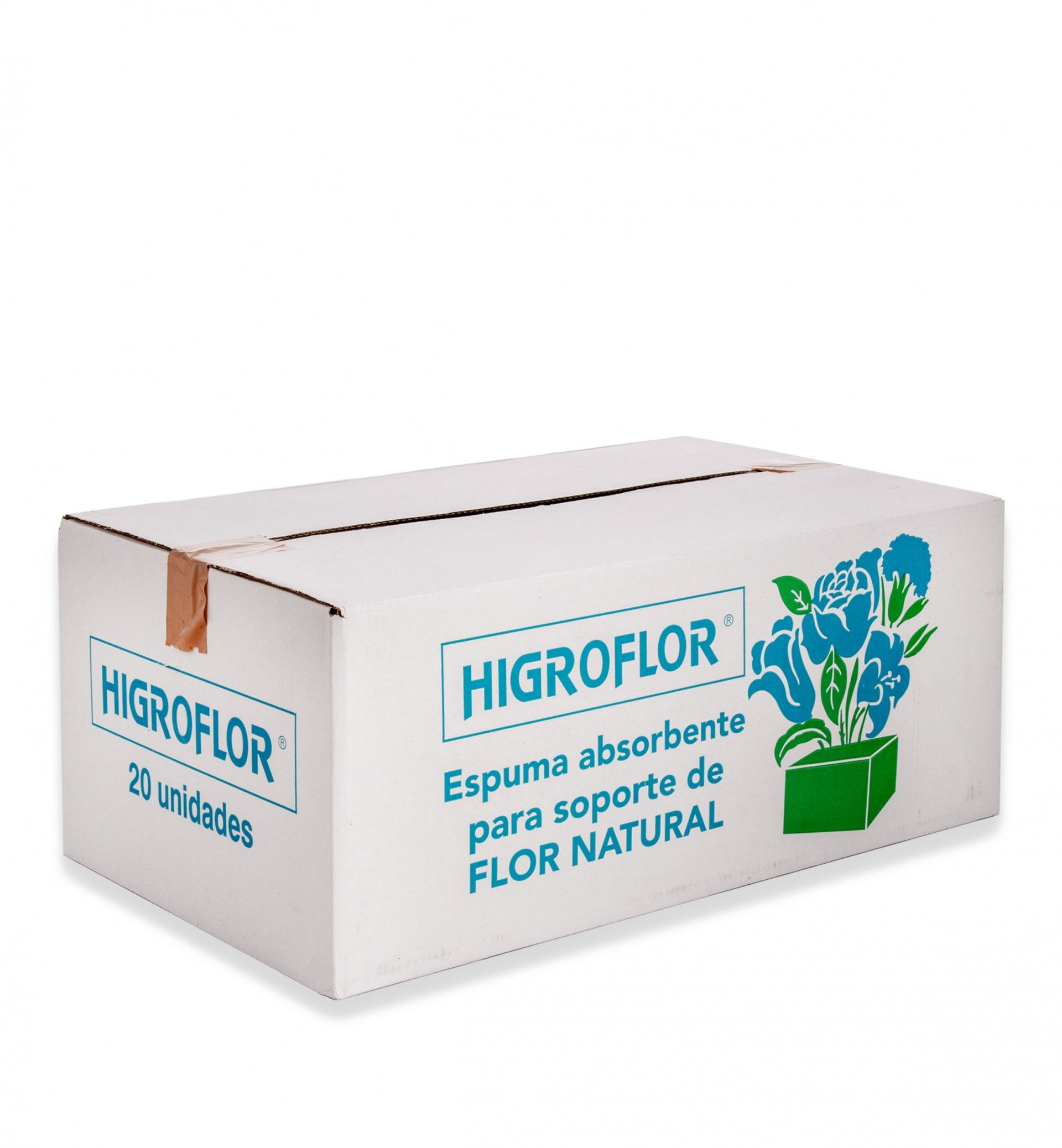 HIGROFLOR ESPONJA NATURAL