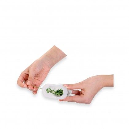 Dispensador Ervas Aromticas Handy 7X4X12cm