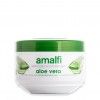 Creme Hidratante Amalfi Aloe Vera 250ml