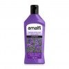 LAVANDA