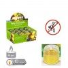 VELA CITRONELA 10H 6.2X5.6CM 700168