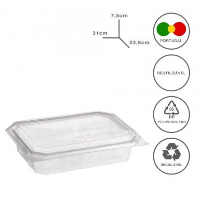 Caixa Take Away 2000ml 31X23.5X7.5cm Pack 40