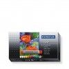 L�pis Pastel �leo Staedtler 12 Cores