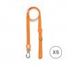 Trela Dashi Solid Colors Laranja XS