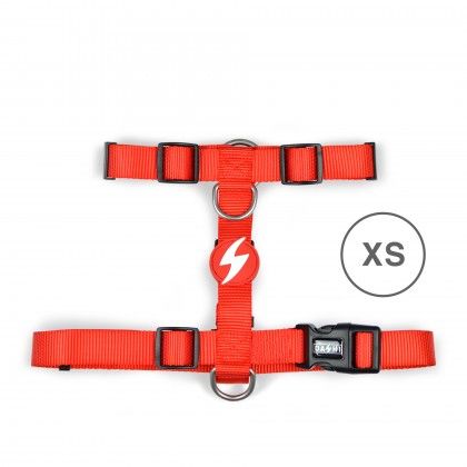 Arnes Dashi Solid Colors Vermelho XS Arnes Dashi Solid Colors Vermelho XS