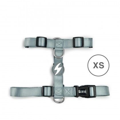 Arnes Dashi Solid Colors Cinza XS Arnes Dashi Solid Colors Cinza XS
