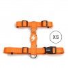 Arnes Dashi Solid Colors Laranja XS