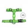 Arnes Dashi Solid Colors Verde XS