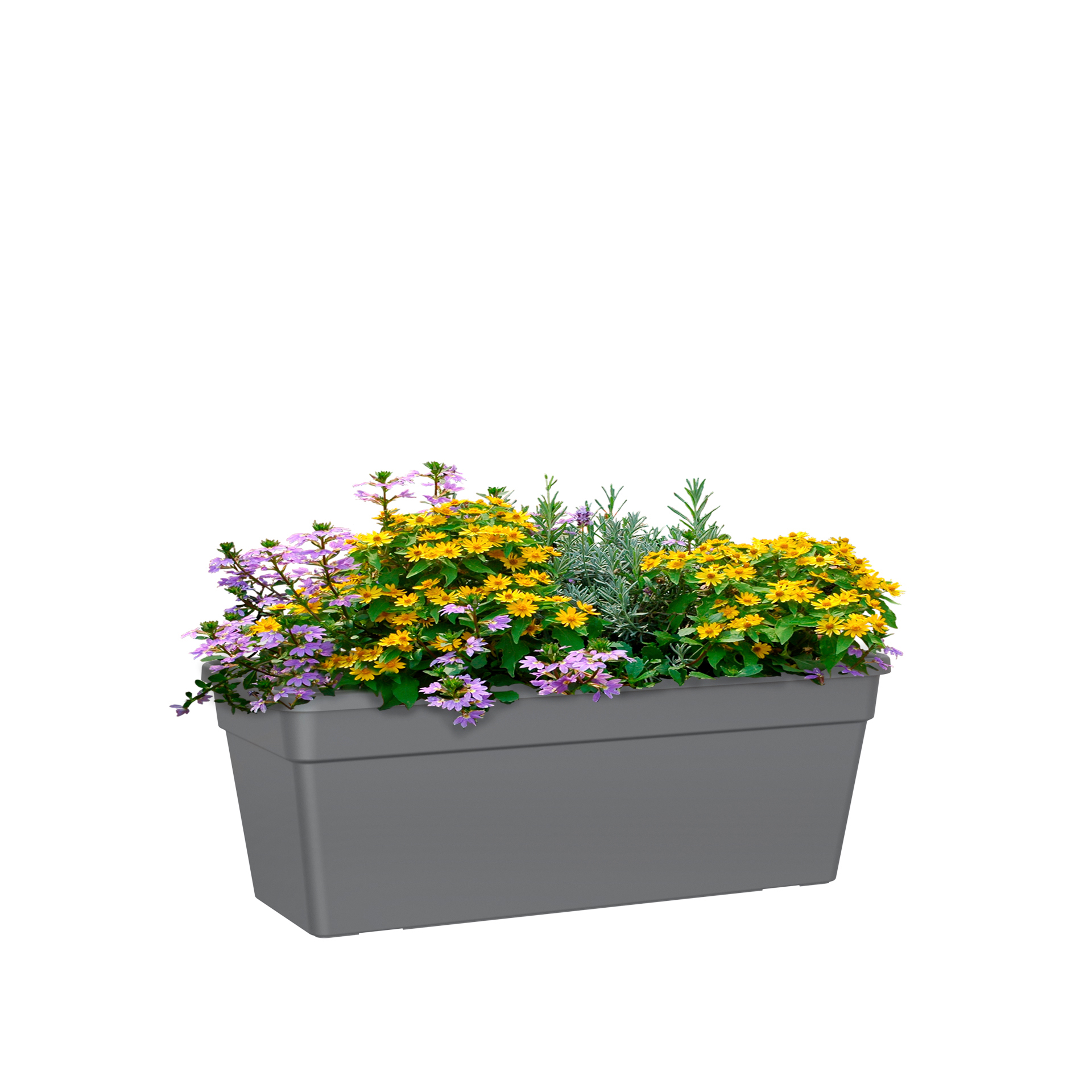 Floreira Madagascar 39.1X17X14.1cm 6L 6L Antracite