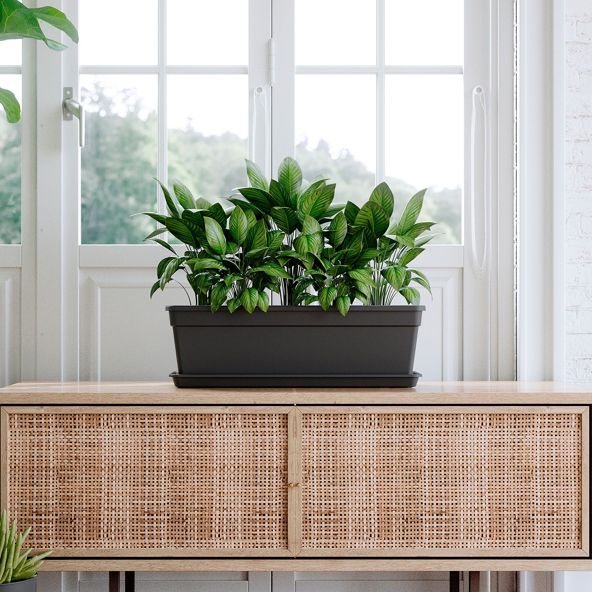 Floreira Madagascar 39.1X17X14.1cm 6L 6L Antracite