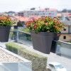 Floreira Capri Varanda 60X30X30cm 26.8L Antracite