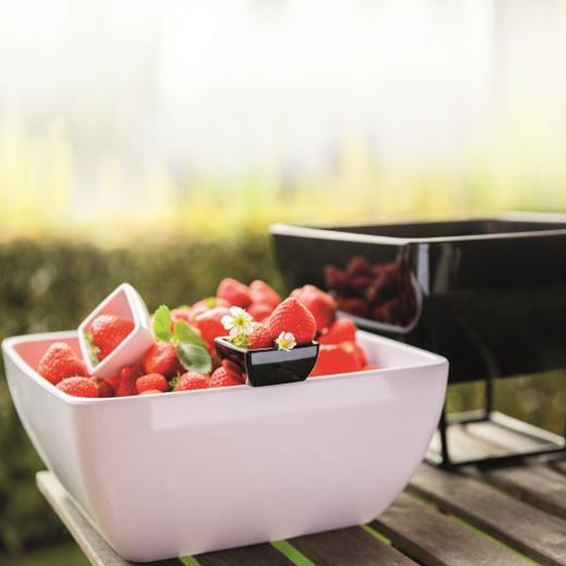 Taça Melamina Pure Quadrada 19X19X9cm