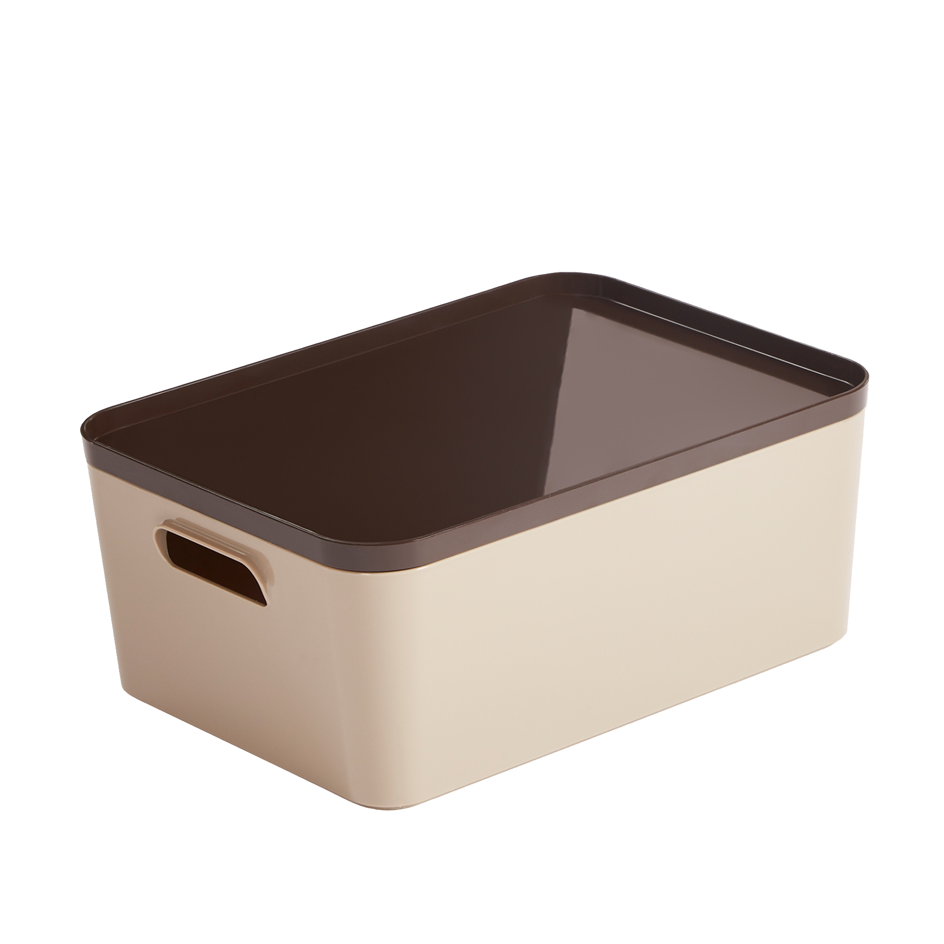 Caixa com Tampa Lua Elesand 9L 34X24X14.5cm