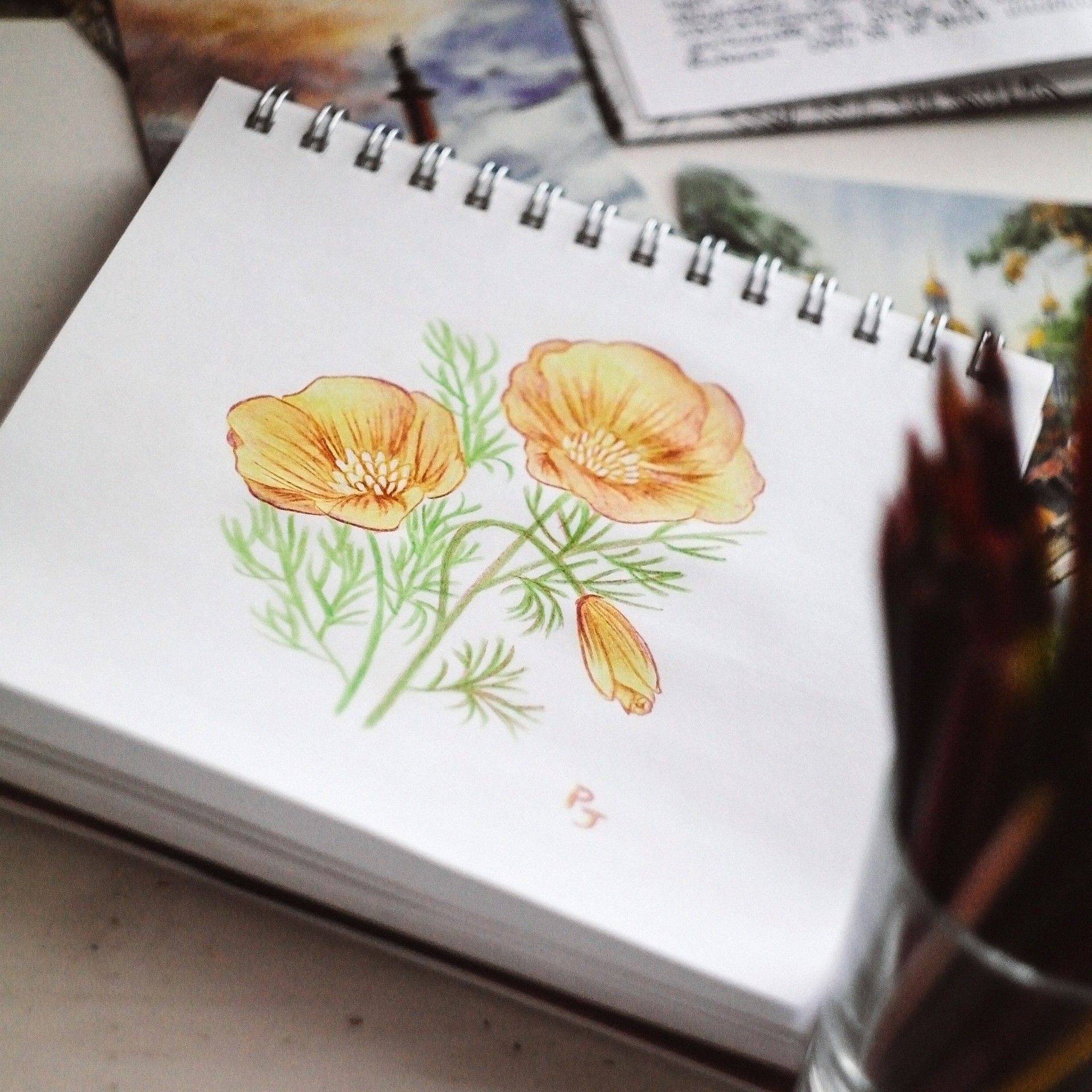 Lapis Cor Maped Aquarelavel 24 Cores 2.9mm