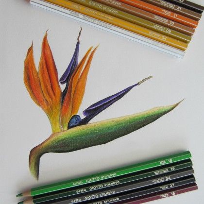 L�pis Cor Giotto Stilnovo 3.3mm 36 Cores