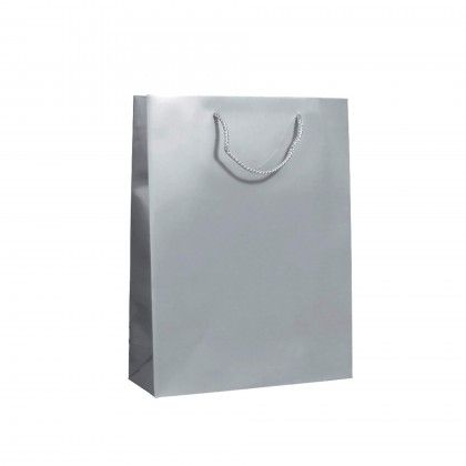 Saco Papel Asa Cordo 31X12X42cm Prateado