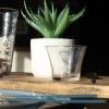 Taa Sobremesa Evo 16cl 8X7cm