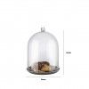 C�pula Transparente 30X40cm