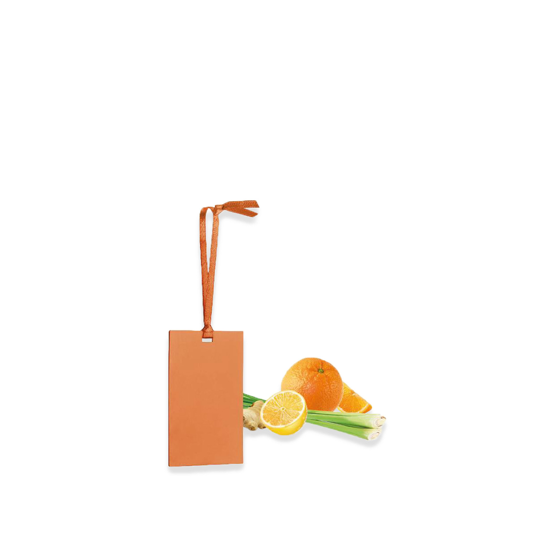 Cartão Perfumado Fancy Home Erva Limão