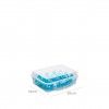 Caixa Hermtica Hega Colonia para 12 Ovos Incolor 20X16X7cm