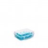 Caixa Hermtica Hega Colonia para 12 Ovos Incolor 20X16X7cm