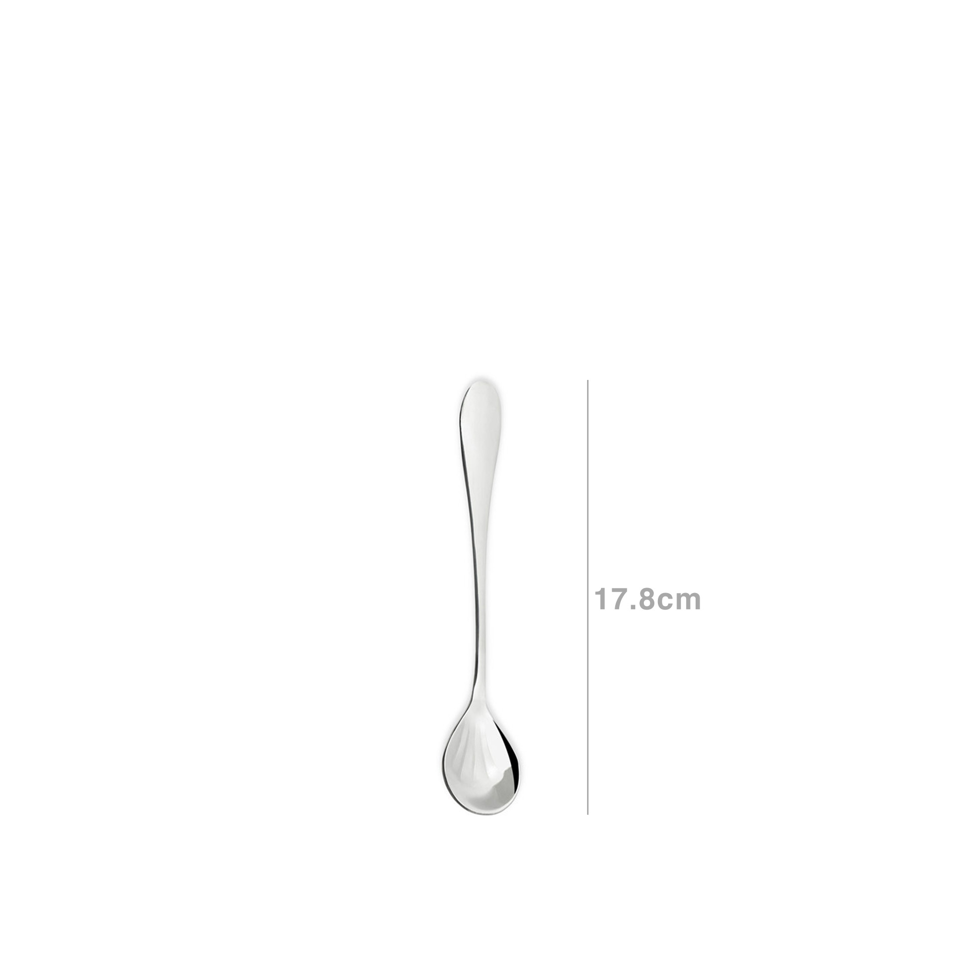 Concha Marte Açucar 17.8CM