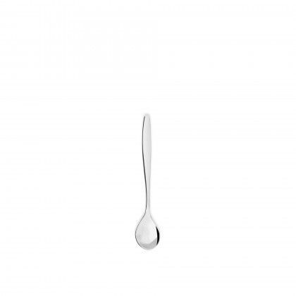 Concha Venus Aucar 17.8CM