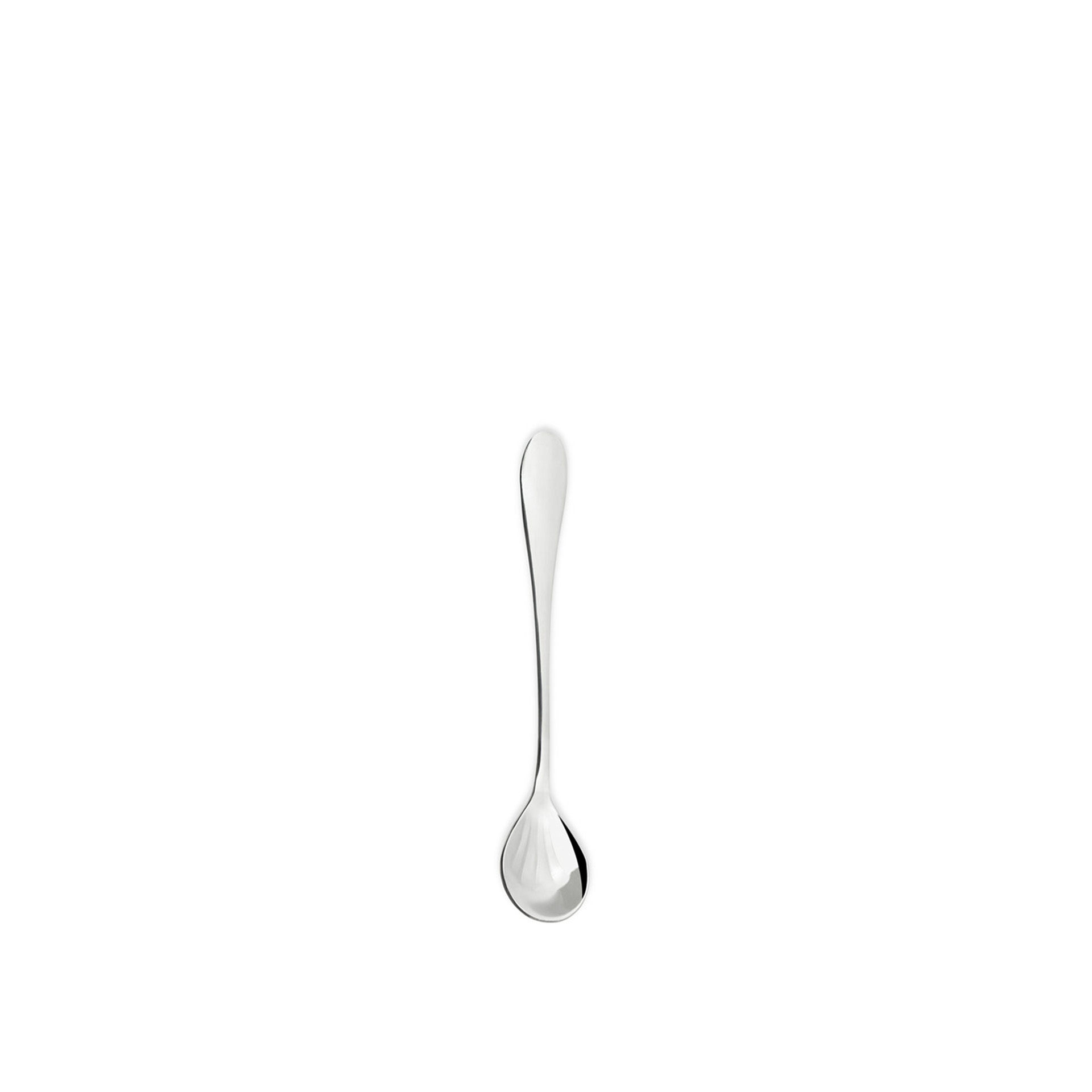 Concha Marte Açucar 17.8CM