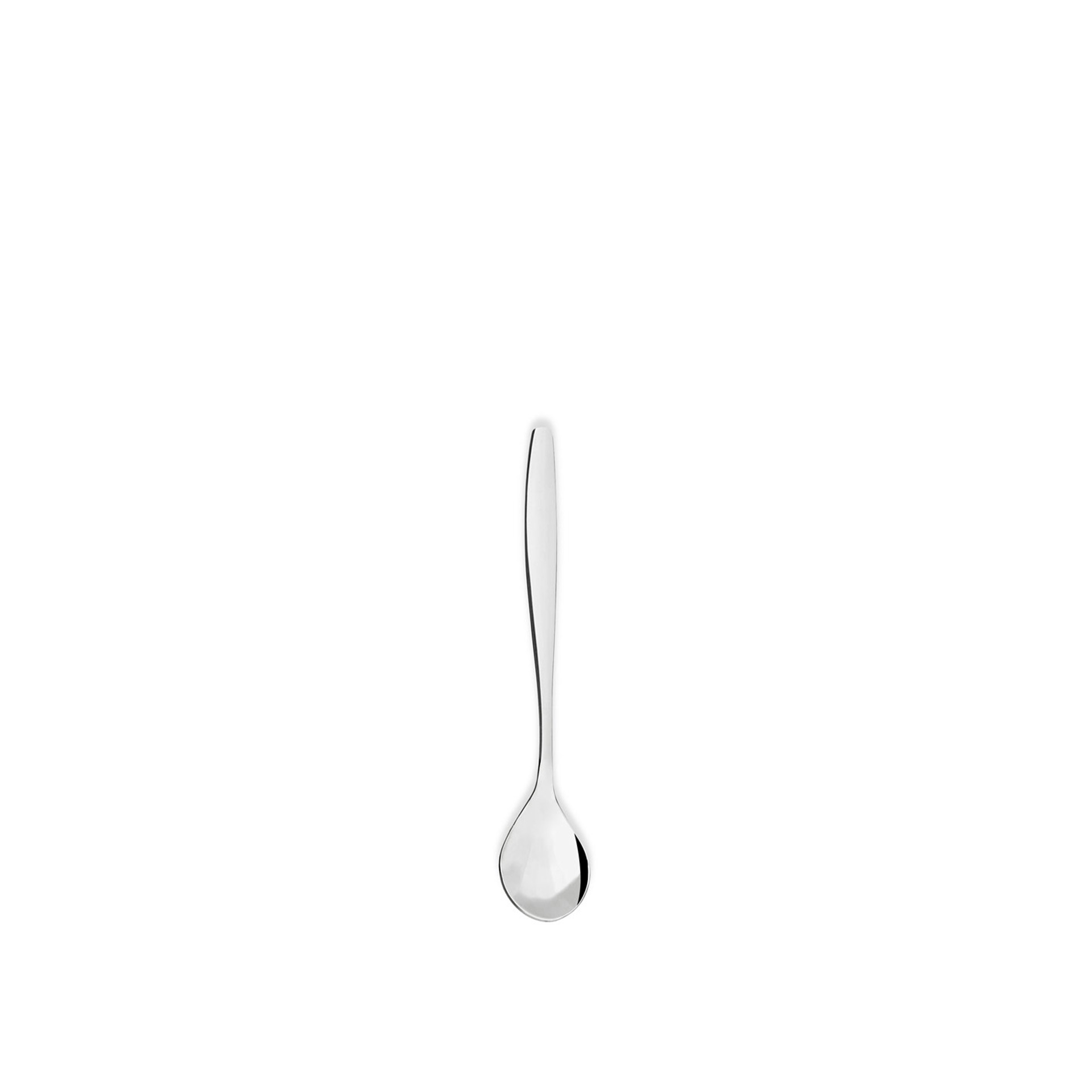Concha Venus Açucar 17.8CM
