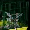 Armadilha com Tnel Quadrada