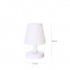 Candeeiro com Bateria Recarregvel Multicor 17X17X26cm