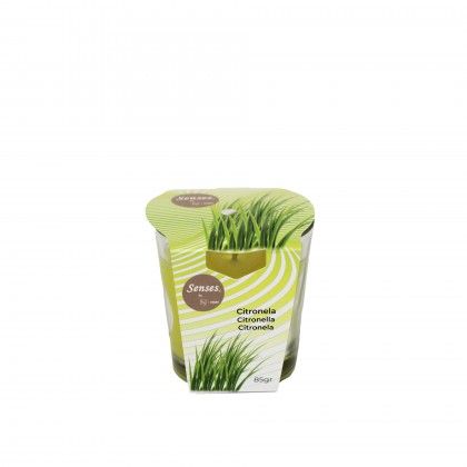 Vela Vidro Citronela 85G 7X7CM