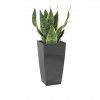 Vaso Pisa 33X33X61cm 45L Antracite