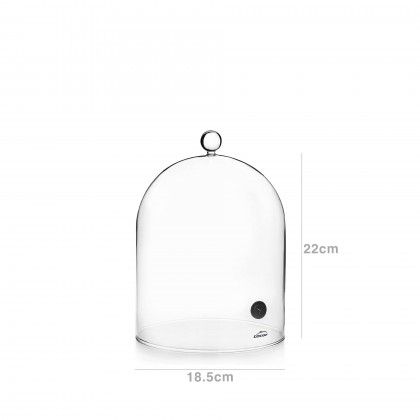 Campnula Defumadora Cocktails 18.5X22cm