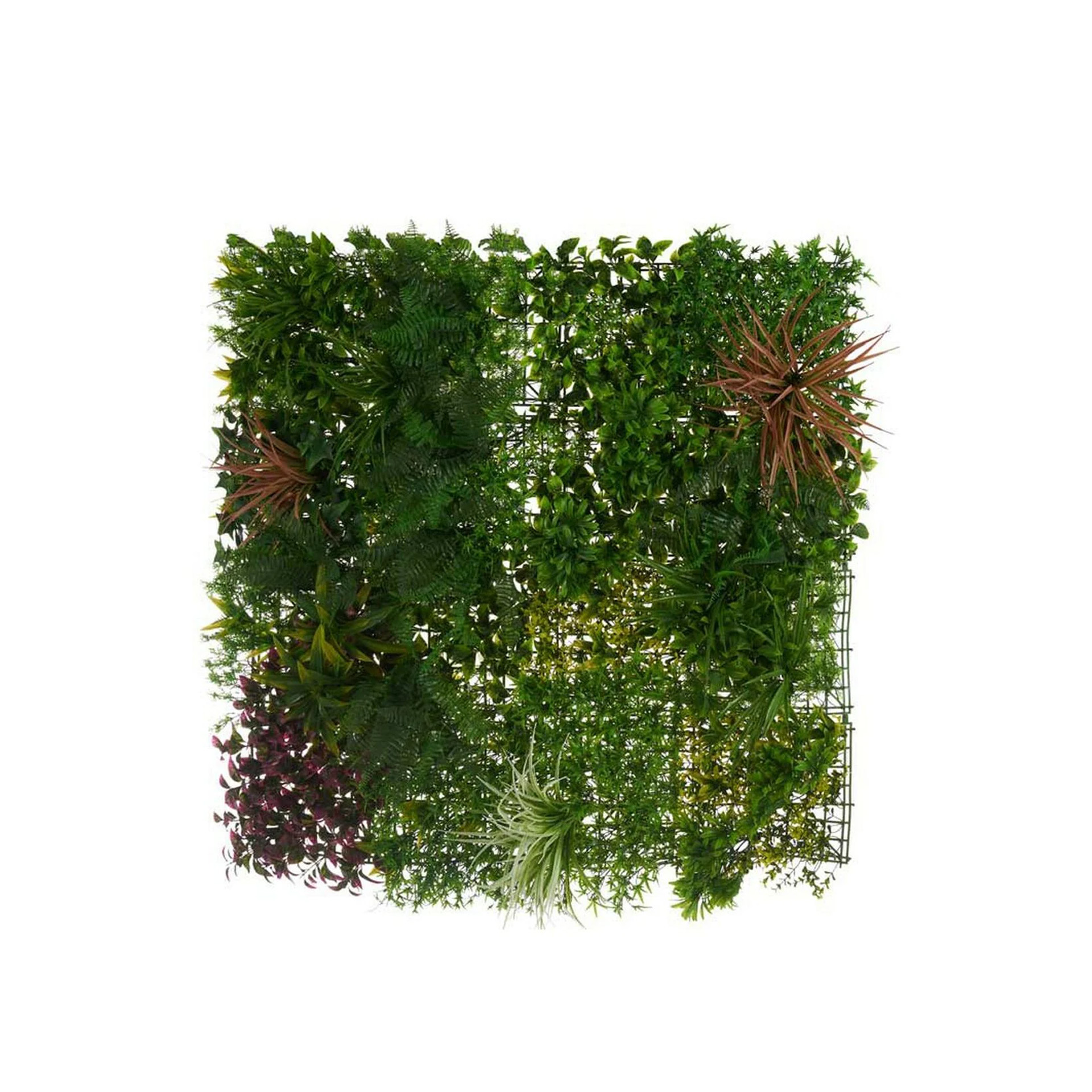 Jardim Vertical Tropical 100X100X14cm