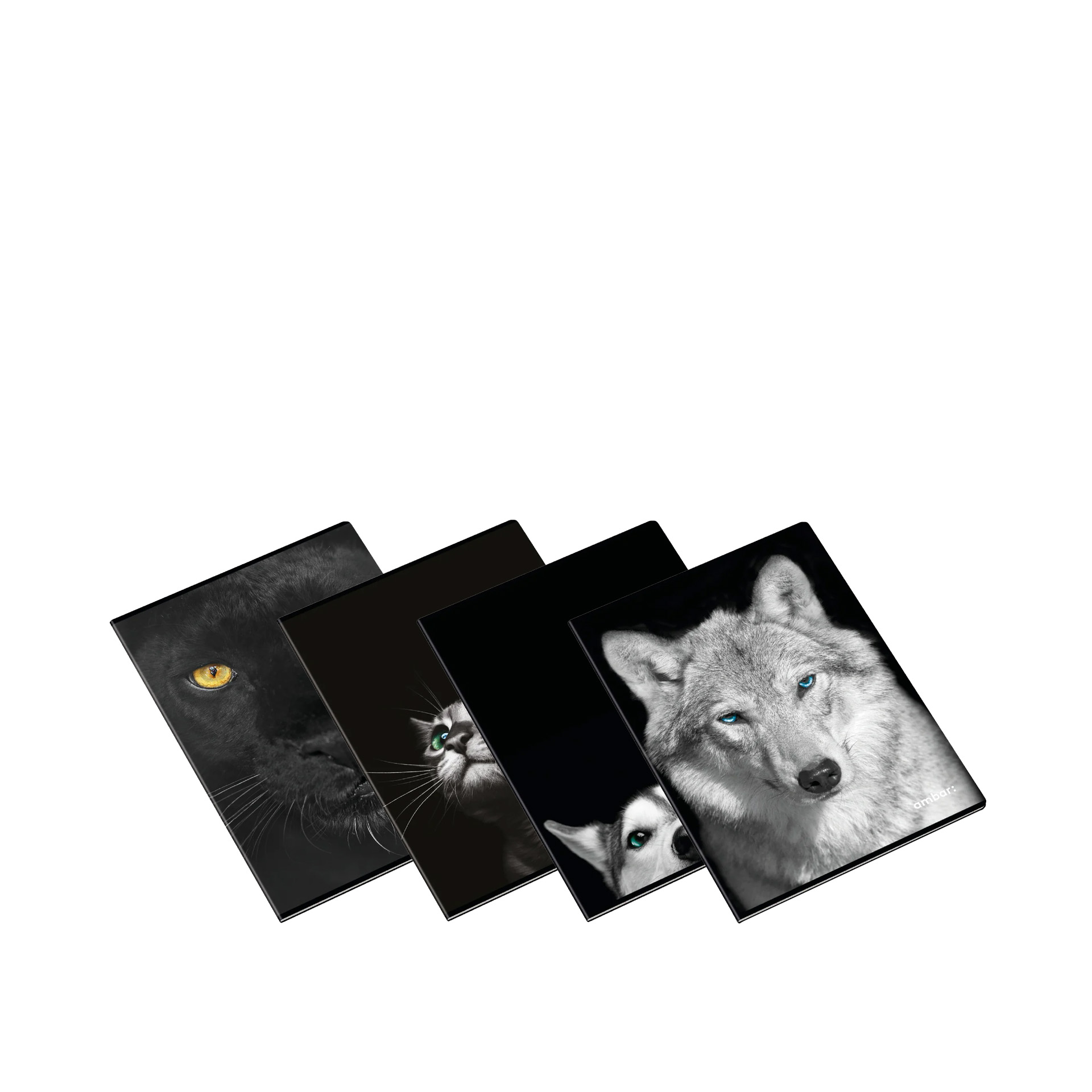 Caderno Agrafado School Wild Animal 90gr A4 48 Folhas Pautado