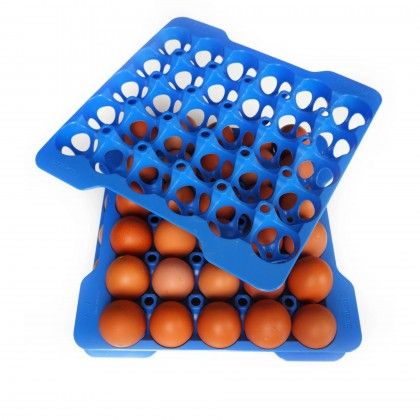 Caixa Hermtica Porta Ovos Gn2/3 4 Bandejas 9L 35.4X32.5X20cm