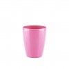 Rosa Fuchsia