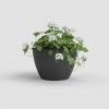 Floreira Algarve Parede 38.5X14.2X14.5cm 5L Antracite