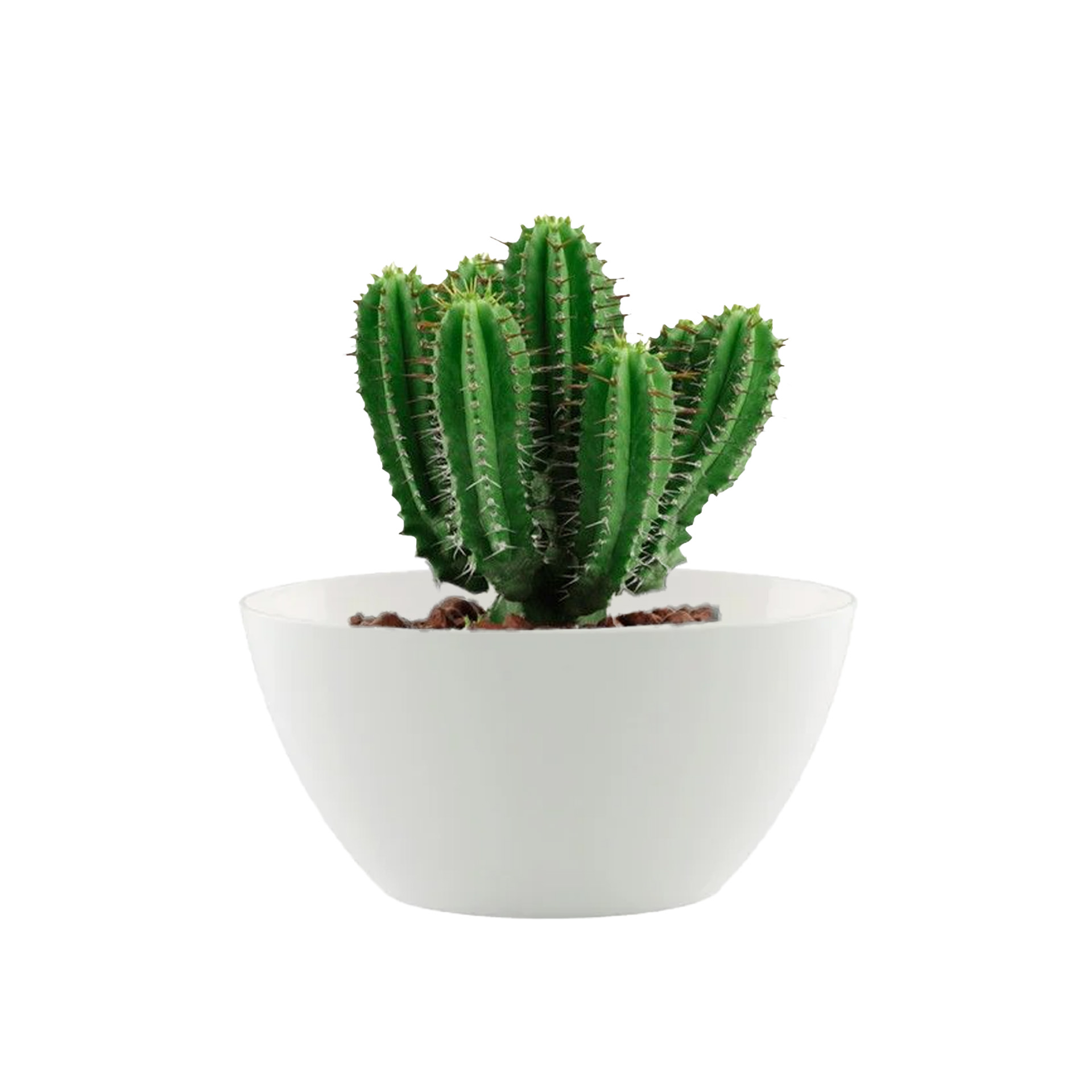 Floreira Bahia 35X17X13cm 4L Branco