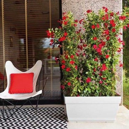 Prato Floreira Capri Xl Retangular 71.5X34X4.5cm Branco Prato Floreira Capri Xl Retangular 71.5X34X4.5cm Branco