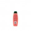 Champ� Palmolive P�ssego / Mel / Prote�nas 350ml