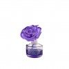 LAVANDA