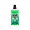 MENTA
