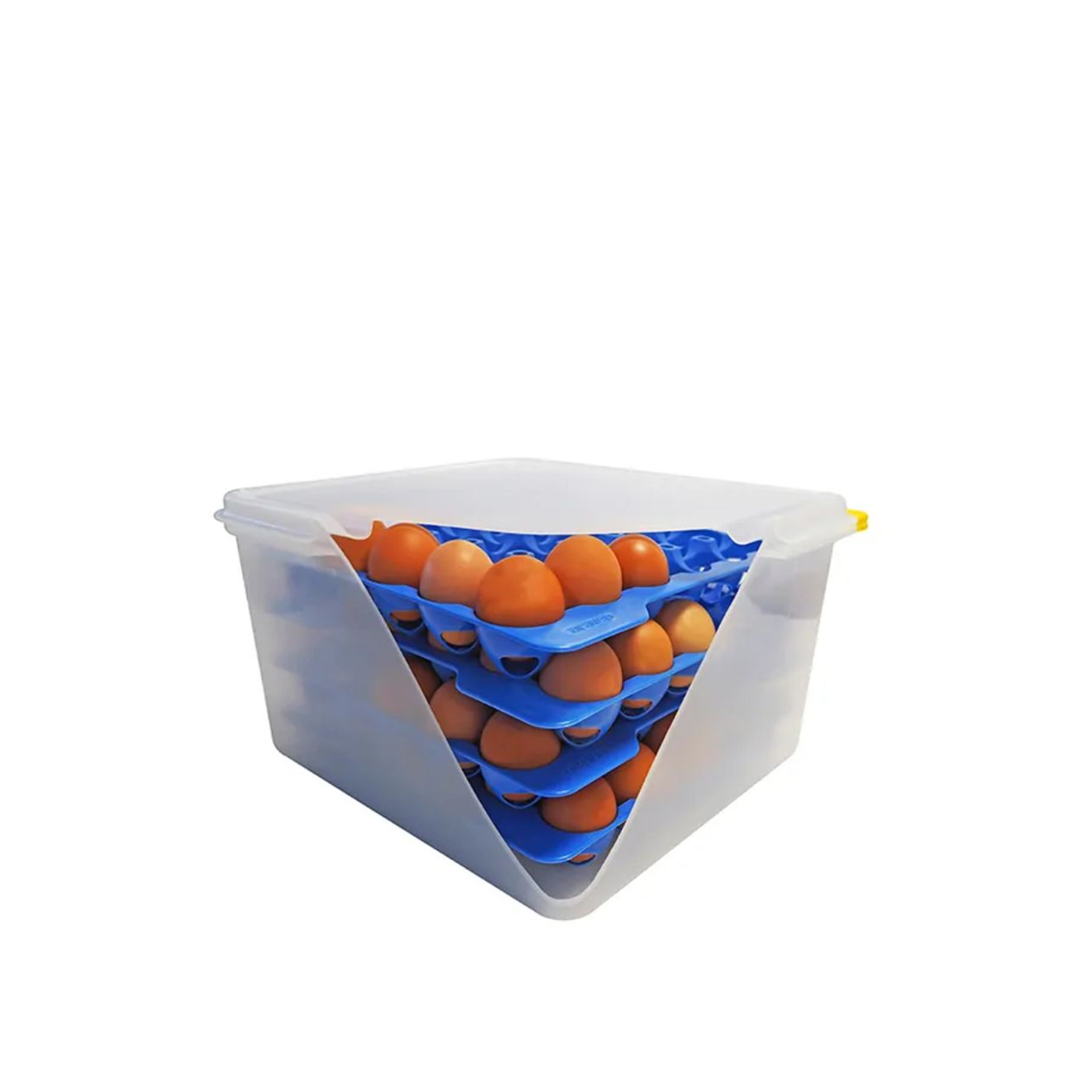 Bandeja Porta Ovos Gn2/3 Azul 29X29X4cm Pack 4