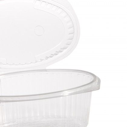 Caixa Take Away 250ml 18X12X4cm Pack 101