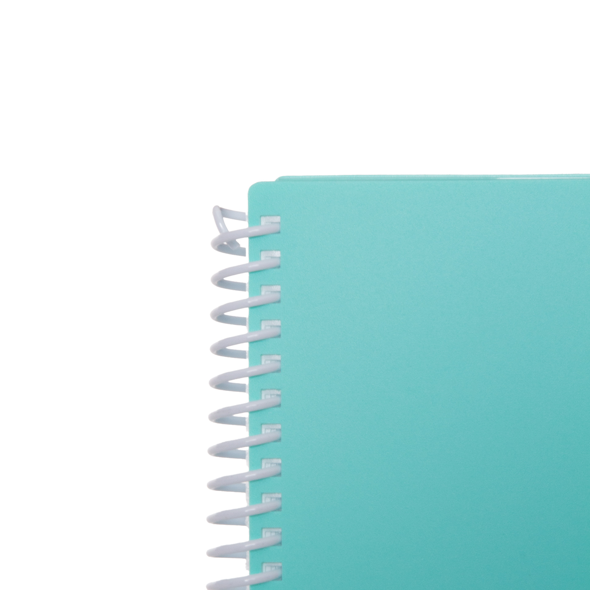 Catálogo Portfólio Soft 20 Folhas Turquesa